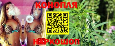 прущие грибы Бузулук