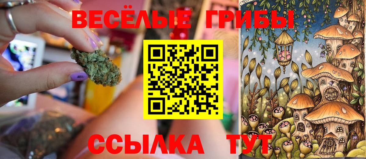 Галлюциногенные грибы Magic Shrooms  Вход с VPN  Северск  Псилоцибиновые грибы ЛСД 