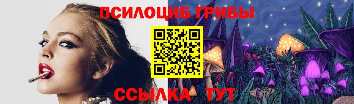 Галлюциногенные грибы мухоморы Северск